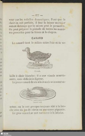 Canard