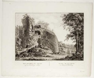 Der gesprengte Turm auf dem Heidelberger Schloss