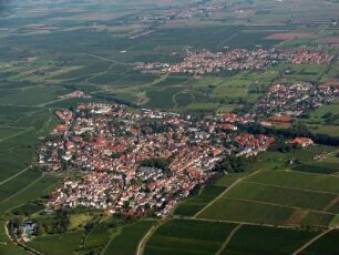 Deidesheim (Pfalz)