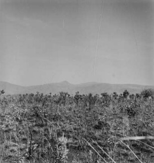 Bergmassiv (Kamerunreise 1937)
