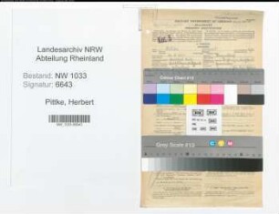 Entnazifizierung Herbert Pittke , geb. 16.08.1921 (Zimmerer)
