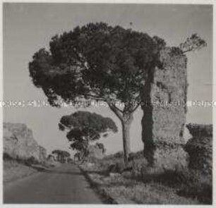 Rom, Via Appia Antica