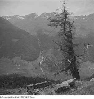 Blick in ein Tal mit Bäumen in den Alpen