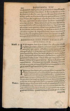 Dominica VIII. Post Trinitat.