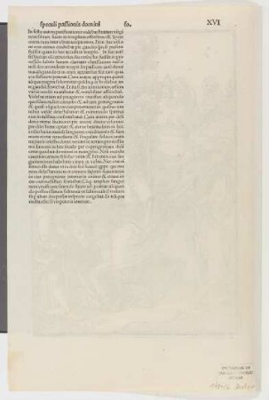 Textseite XVI, aus "Speculum passionis"