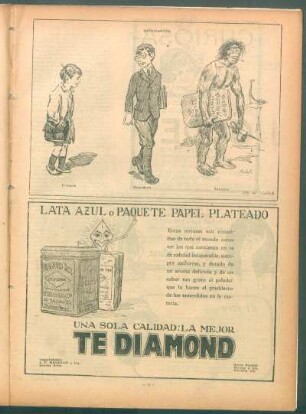 Estudiantes : Primario. - Secundario. - Terciario