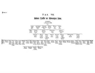 Tab. VII. Andere Taffel der schwartzen Linie.