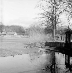 Mühlenteich mit Eisdecke: vorn Wasser: rechts Mauer mit Wehr: dahinter Bäume: in der Mitte Schilf: am gegenüberliegenden Ufer Häuser zwischen Bäumen: Winter
