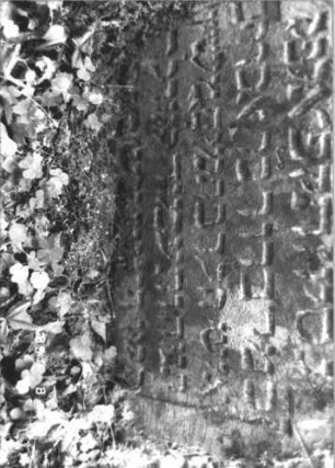 Grabstein 238 (Index: 99799949) Material: Sandstein Zustand: stark verwittert, eingesunken, teilw. Textverlust Maße HxBxT: 64x58x12 cm Beschreibung: Stele, eingezogener Rundbogenabschluß, Schriftfeld eingetieft: Grabstein 238 (Detailaufnahme 1)