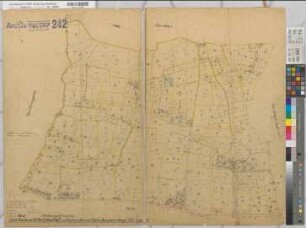 Beckum Ksp. u.Stadt (Beckum), Umlegung Beckum, Bl.10 Schätzungs- und Urkarte I Ksp. Beckum Flur 5