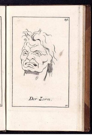 Der Zorn.