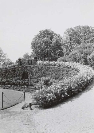 Dresden-Neustadt. Japanisches Palais, Garten, Wallrest der ehemaligen Stadtbefestigung : Japanisches Palais, Partie im Garten, Rest eines Walles