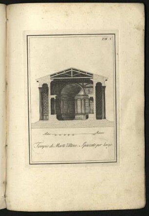 Tav. V. Tempio di Marte Ultore. Spaccato per largo