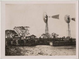 Fazenda (Film: "Urwelt im Urwald")