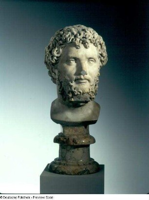 Kopf des Septimus Severus