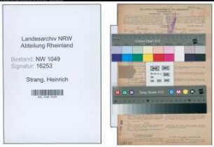 Entnazifizierung Heinrich Strang , geb. 16.01.1901 (Schreiner)
