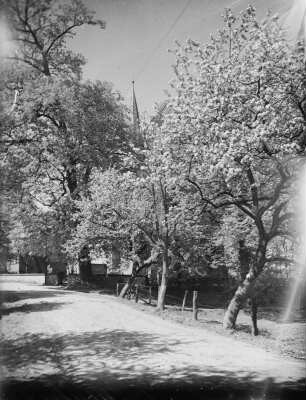 Wyhra : Wyhra. Ortsteilansicht mit Dorfteich, im Bildhintergrund links die Schule (Baujahr 1927 Architekt Curt Schiemichen) und rechts die Stephanuskirche