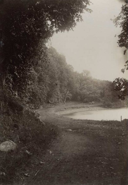 "Near the Maraa Grotto, Tahiti"