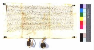 Urfehde des Werner Reuss von Ellwangen (Ursache nicht genannt)