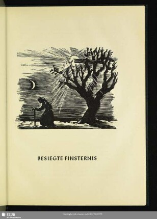 Besiegte Finsternis