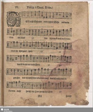 IV. Ist nicht Ephraim