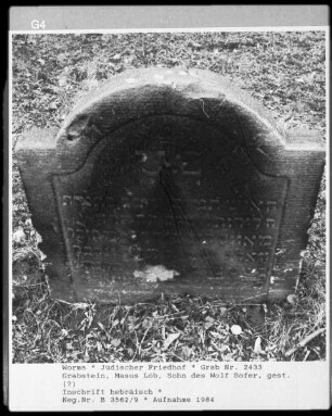 Grabstein von Masus Löb, Sohn des Wolf Sofer