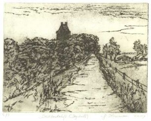 Deichlandschaft (Dagebüll)