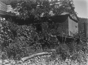 Haus : Blick auf ein Haus mit Bäumen und Büschen.