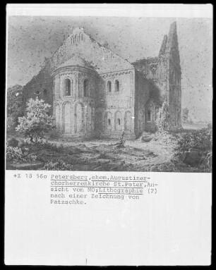 Petersberg (Saalkreis), Stiftskirche Sankt Petrus, Ansicht