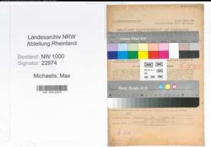 Entnazifizierung Max Michaelis, geb. 08.02.1894 (Maschinist)