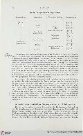 5. Anteil des vegetativen Nervensystems am Rückenmark