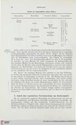5. Anteil des vegetativen Nervensystems am Rückenmark