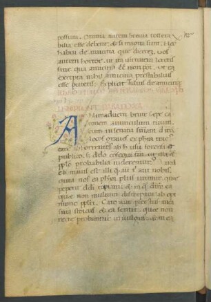 Initiale A, historisiert (blühender Distelzweig)