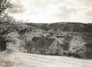 Elbtalhöhen bei Cossebaude zur Baumblüte
