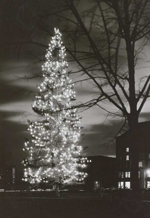 Ansicht mit beleuchtetem Weihnachtsbaum