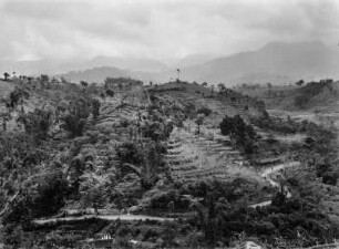 Terrassenfelbau : Kulturlandschaft in Indonesien. Anbau von Reis, Bananen und Bambus.