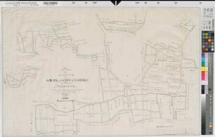 Altenberge (Altenberge), Nienberge (Münster), Teilung des Schlick und Schwickingsbergs, Bl. 3 Reinkarte