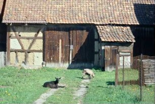 Fachwerkscheune mit Anbau, historische Dacheindeckung