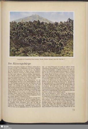 Im Riesengebirge
