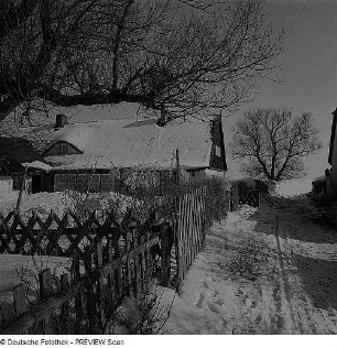 Wintertag auf Hiddensee