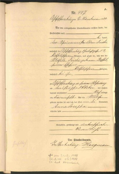 Standesamtsbuch der Stadt Aschaffenburg: Geburten 365/1900 - 184/1901