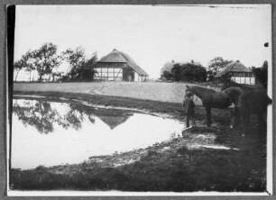 Am Seehof auf der Insel Rügen
