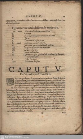 Caput V. De Ventriculo & Intestinis