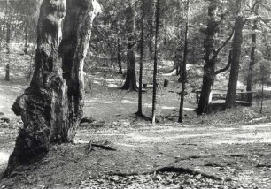 Naturschutzpark am Donoperteich, Kneipp- und Luftkurort; Hiddesen