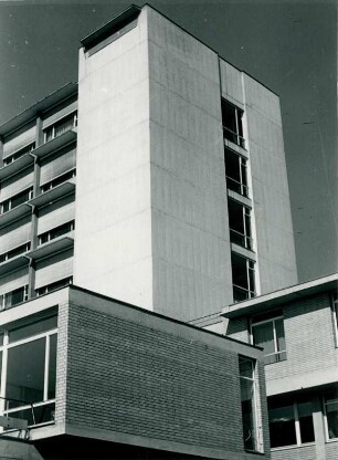 Sperrholzkastenschalung, 1954-1960