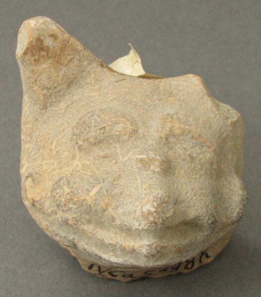 Clay animal head (fragment)