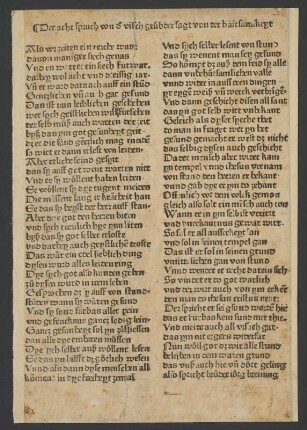 Der achte Spruch von der Fischgrube