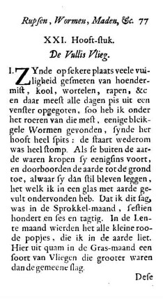 XXI. Hooft-stuk. De Vullis Vlieg