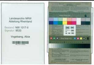 Entnazifizierung Alice Vogelsang , geb. 13.09.1909 ()