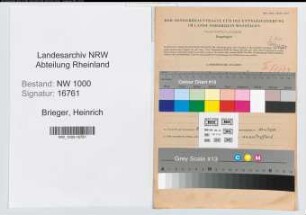 Entnazifizierung Heinrich Brieger, geb. 11.09.1899 (Angest.)